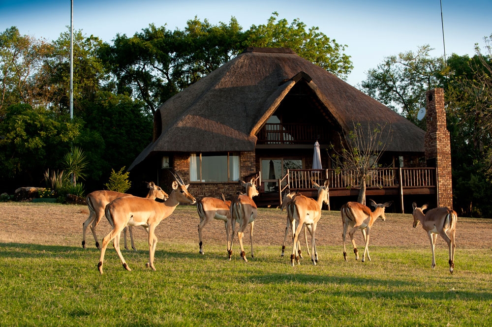 9 Day Big Five Safari at Kapama & Victoria Falls Expedition