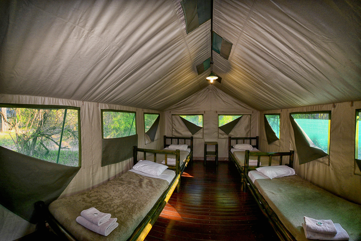 kruger national park tented camp 3