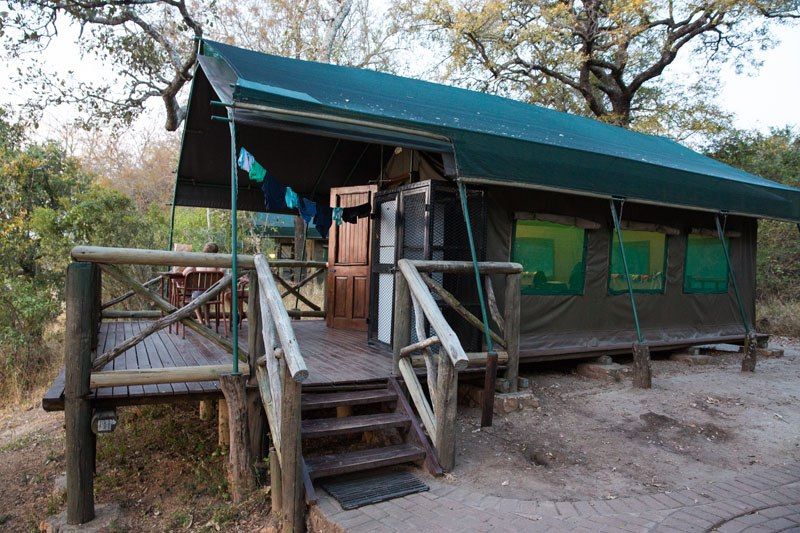 kruger national park tented camp 5